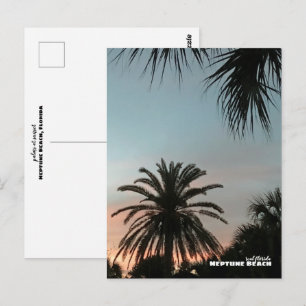 Reise-    Florida - Neptun Beach Pink Sunset Palms Postkarte