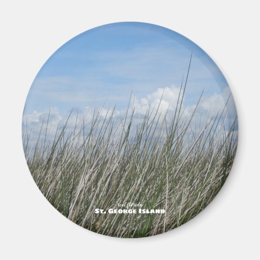 Reise- | Florida - St. George Island Sea Grass Magnet (Vorne)