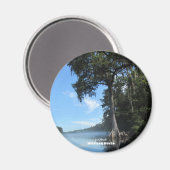 Reise- | Florida - Wacissa River Cypress Magnet (Vorderseite/Rückseite)