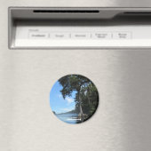 Reise- | Florida - Wacissa River Cypress Magnet (In Situ (Geschirrspüler))