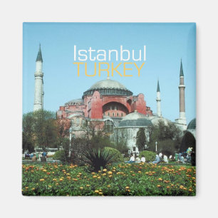 Reise-Foto-Andenken-Magneten Istanbuls die Türkei Magnet