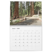 Reise-hinteres Zuhause-Inspirational Wandkalender (Mär 2027)