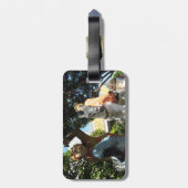 Reise in den Westen [Magie des Affen] Gepäckanhänger (Rückseite vertikal)