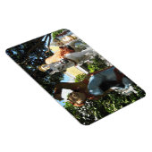 Reise in den Westen [Magie des Affen] Magnet (Rechte Seite)