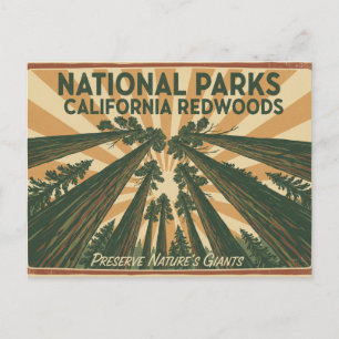 Reise in die kalifornischen Redwood-Nationalparks Postkarte