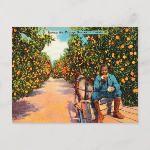 Reise in die Vintage-Zeit unter den Orangenhainen Postkarte