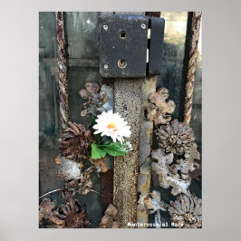 Reise-  | Italien - Alte Schleuse Monterosso al Ma Poster