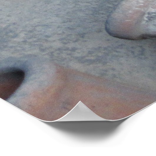 Reise- | Italien - Pompeii Amphorae Poster (Ecke)