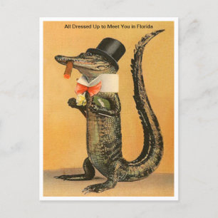 Reise mit Vintage-Florida-Alligator in Aufmachung Postkarte