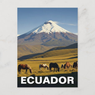 Reise nach Ecuador Cotopaxi-Nationalpark Postkarte
