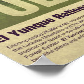 Reise nach Puerto Rico: El Yunque Poster (Ecke)