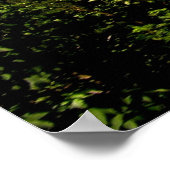 Reise nach Rochers de Naye Poster (Ecke)