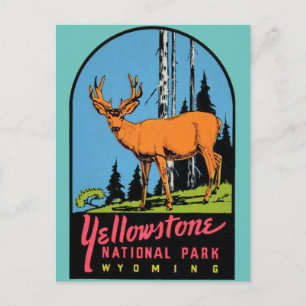 Reise-Postkarte Yellowstone-Nationalpark Vintage Postkarte