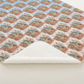 Reise Sherpadecke (3/4)