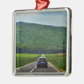 Reise Silbernes Ornament (Links)