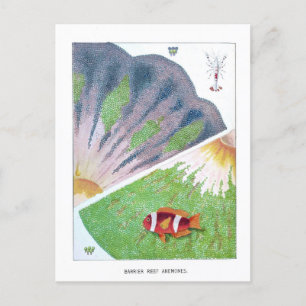 Reise Vintage Australien Great Barrier Reef Postkarte