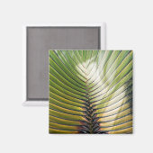 Reisebaum- Guadeloupe Magnet (Vorderseite/Rückseite)