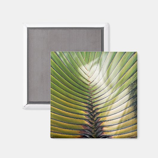 Reisebaum- Guadeloupe Magnet (Vorderseite/Rückseite)