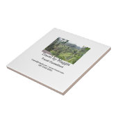 Reiseberaterfirma E-Mail-Adresse hinzufügen Fliese (Seite)