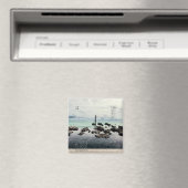 Reisebericht_3 Magnet (In Situ (Geschirrspüler))