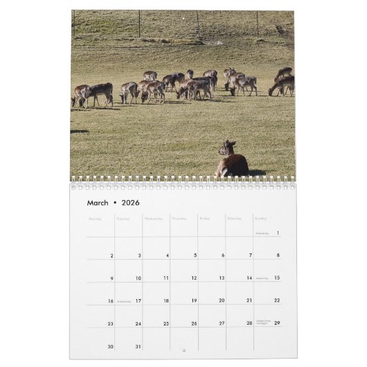 Reisebeschreibung 2023 kalender (Mär 2026)