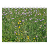 Reisebeschreibung 2023 kalender (Titelbild)