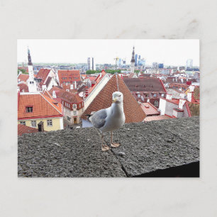 Reisefoto. Estland, Tallinn Postkarte