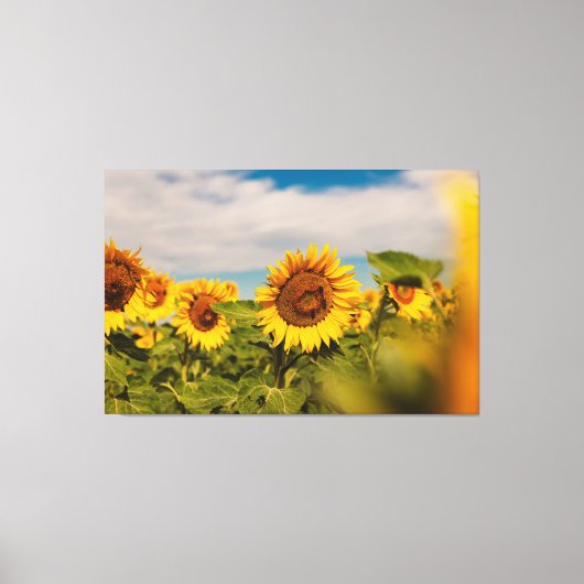 Reisefotografie-Dekoration mit Sonnenblumen-Foto Leinwanddruck (Vorderseite)