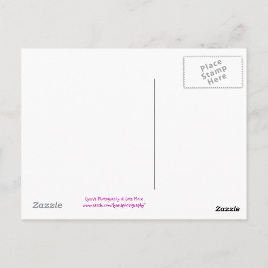 Reisemobil - Postkarte (Rückseite)