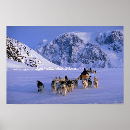 Reisen, Ellesmere Island Poster (Vorne)