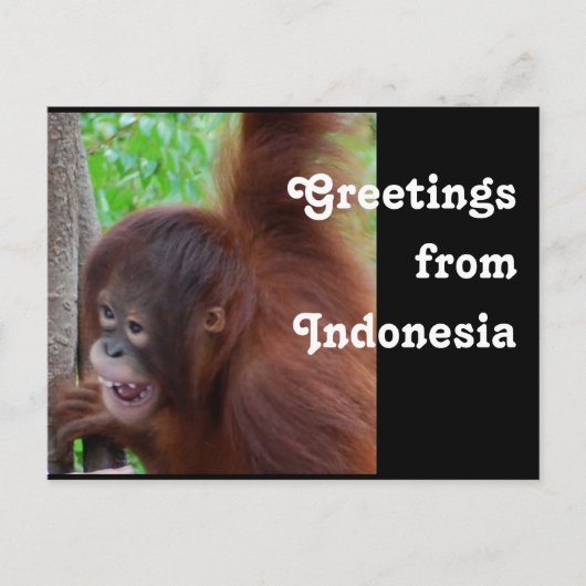 Reisen Grüße aus Indonesien Postkarte (Vorderseite)
