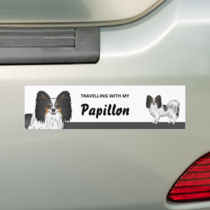 Reisen mit meinem Tricolor Papillon Hund Autoaufkleber