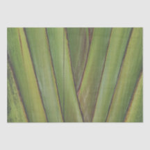 Reisende Palm Tissue Paper