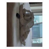 Reisende Schweinetüchertiere Poster (Vorderseite)