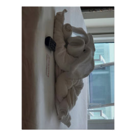 Reisende Schweinetüchertiere Poster