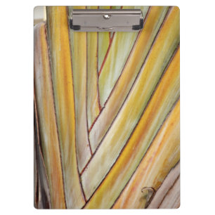 Reisende Tree Zwischenablage Klemmbrett