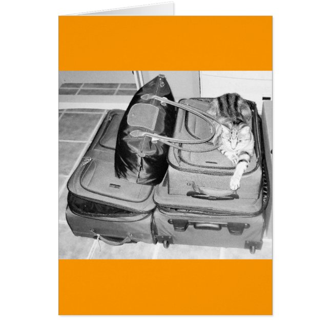 Reisender Indigostift (Vorne)