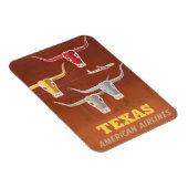 Reiseplakat für American Airlines nach Texas Magnet (Rechte Seite)