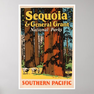 Reiseplakat Sequoia-Nationalpark Kalifornien Poster