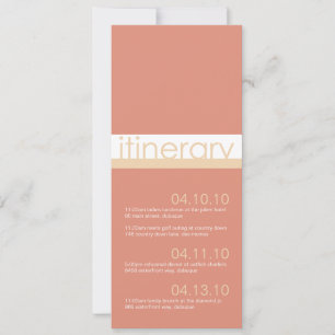 Reiseplan-Ankündigungen für zwei Bräute Einladung