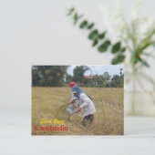 Reisernte auf Feldern außerhalb von Siem Reap Postkarte (Stehend Vorderseite)