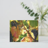 Reiserückholung der Postkarte 65 (Stehend Vorderseite)