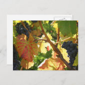 Reiserückholung der Postkarte 65 (Vorne/Hinten)