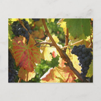 Reiserückholung der Postkarte 65