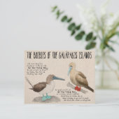 Reiseskizze Postkarte: Vögel der Galapagos Postkarte (Stehend Vorderseite)