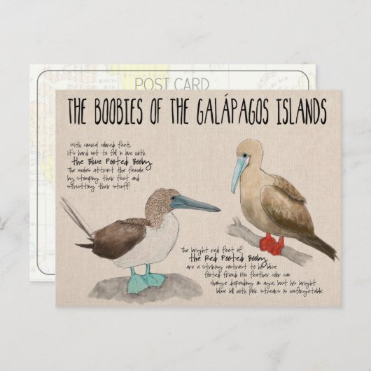 Reiseskizze Postkarte: Vögel der Galapagos Postkarte (Vorne/Hinten)