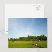 Reisfeld auf Bali Postkarte (Vorne/Hinten)