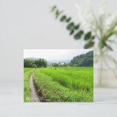 Reisfeld-Landschaft: Postkarte (Stehend Vorderseite)
