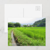 Reisfeld-Landschaft: Postkarte (Vorne/Hinten)