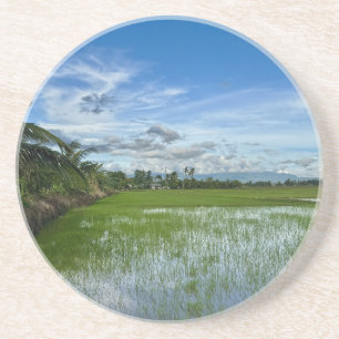 Reisfeld unter blauem Himmel Getränkeuntersetzer